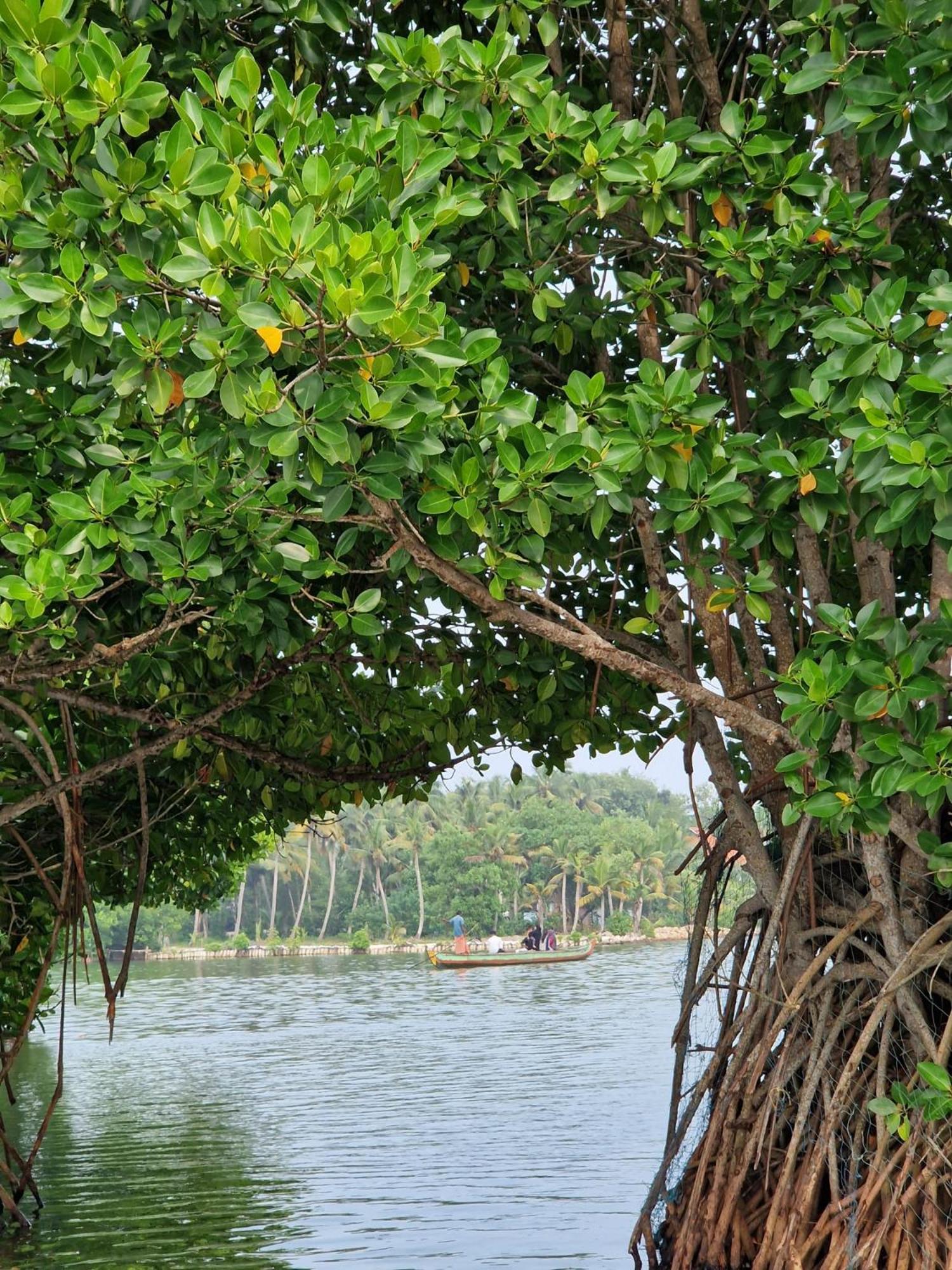 Homestay Bliss Munroe Island